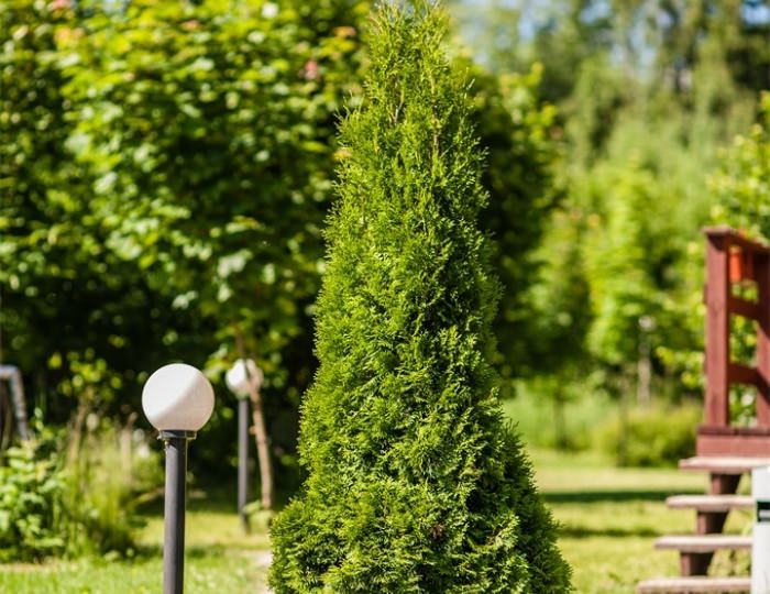 Коттедж Luxe c 2-мя спальнями - Спа-отель «Тучково»