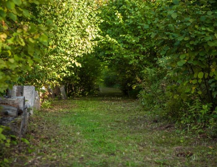 Тропа графа Тучкова - Спа-отель «Тучково»