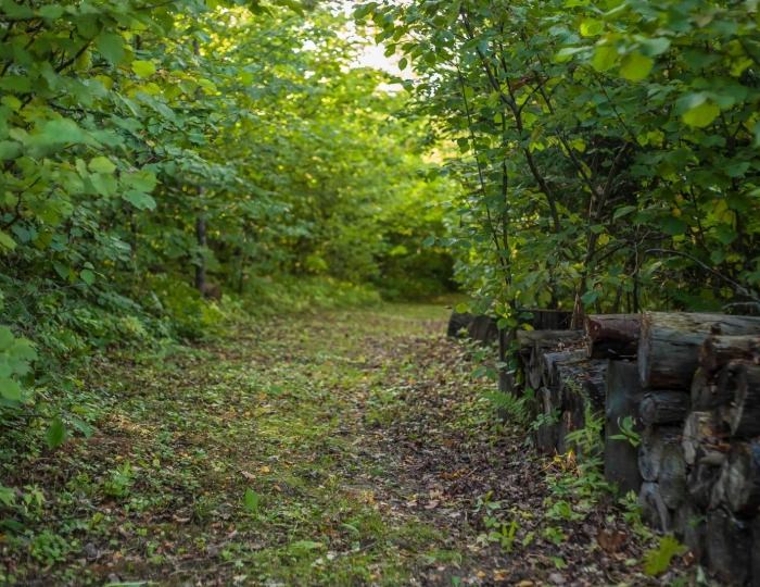 Тропа графа Тучкова - Спа-отель «Тучково»