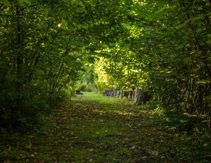 Тропа графа Тучкова - Спа-отель «Тучково»