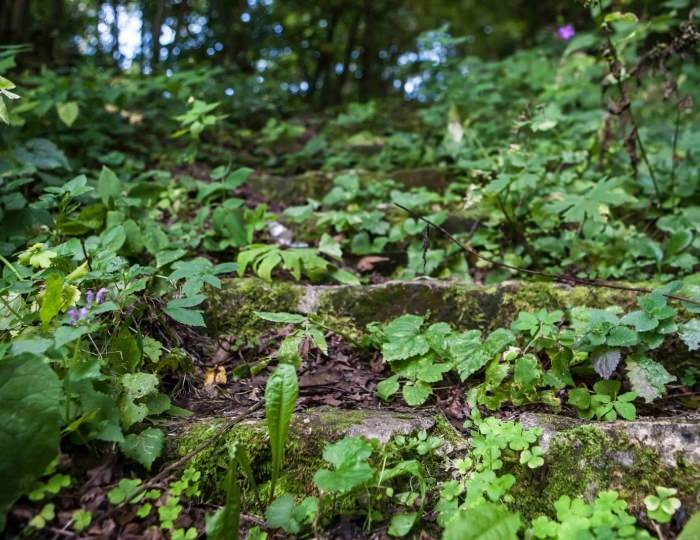 Тропа графа Тучкова - Спа-отель «Тучково»