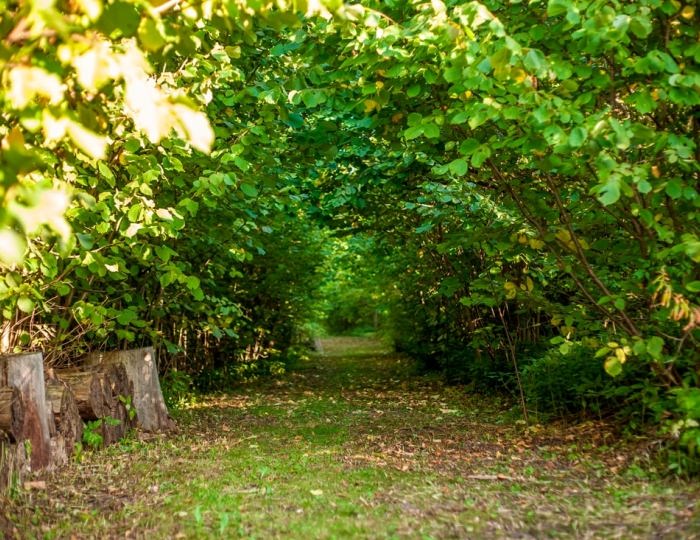 Внешний вид и территория - Спа-отель «Тучково»